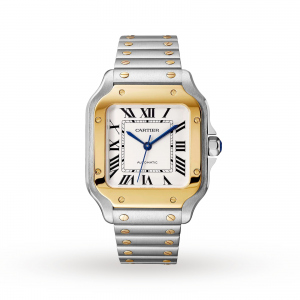 Cartier Santos heren zilver 35mm horloge