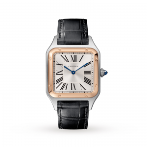Cartier Santos Dumont dames zilver 31mm horloge