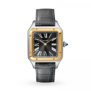Cartier Santos-Dumont heren grijs 31mm horloge