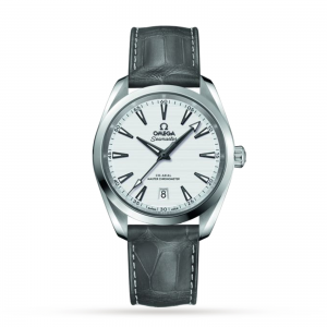 omega aquaterra heren zilver 41mm horloge
