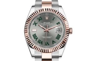 Rolex Datejust Oyster 41 mm Oystersteel-staal en Everose-goud 126331-0015